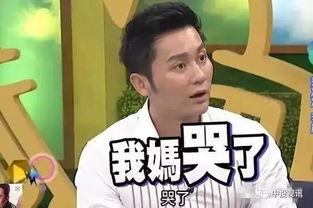 李晨爆料视频大全集播放,揭秘娱乐圈幕后真相