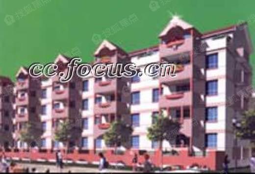 和平花园爆料视频大全下载,揭秘花园里的秘密瞬间